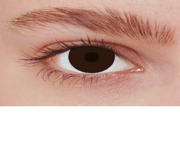 Iris Medium